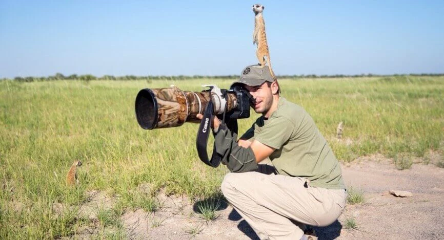 How to take a wildlife photography: tips for beginners