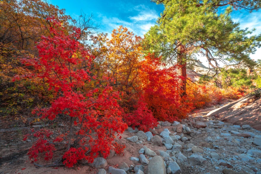 10 Landscape Photography Tips and Techniques