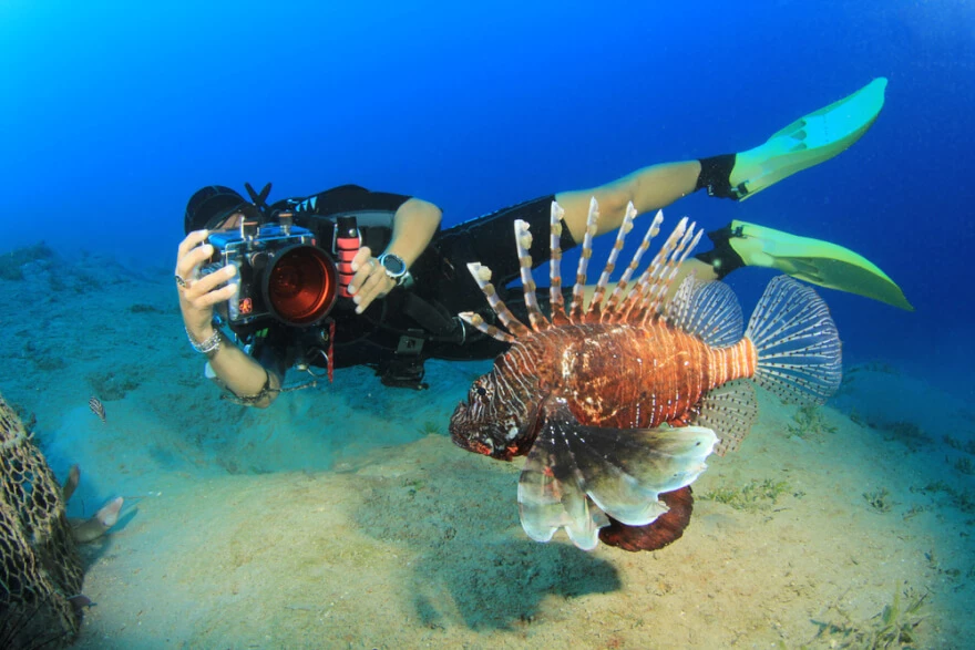 Underwater Photography Tips